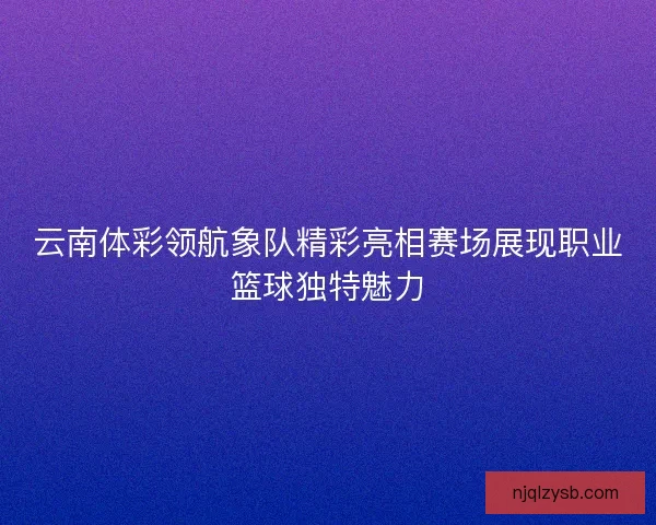 云南体彩领航象队精彩亮相赛场展现职业篮球独特魅力